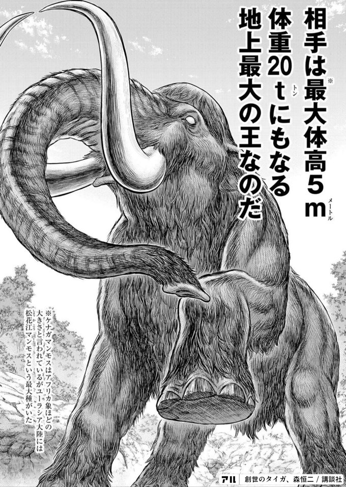 メートル相手は最大体高5m体重tにもなる地上最大の王なのだ ケナガマンモスはアフリカ象ほどの大きさと言われているがユーラシア大陸には松花江マンモスという最大種がいた J4 創世のタイガ アル