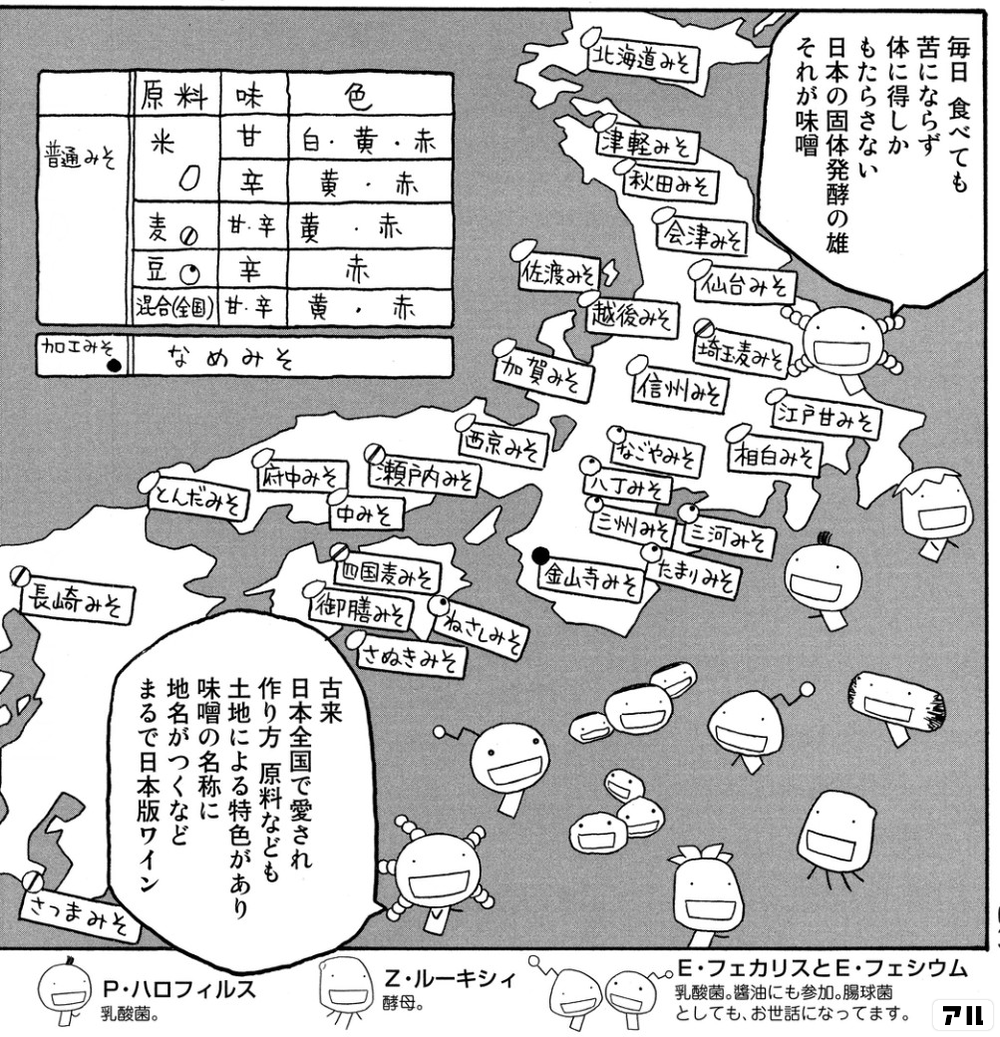 毎日食べても苦にならなず 体に得しかもたらさない日本の個体発酵の雄 それが味噌 古来 日本全国で愛され 作り方 原料なども土地による特色があり 地名がつくなど もやしもん アル