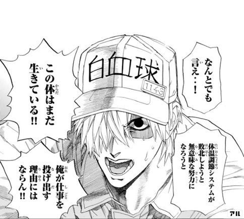 21年1月からアニメ2期が放送開始 はたらく細胞 主人のボードゲーム熱に寄り添うブログ