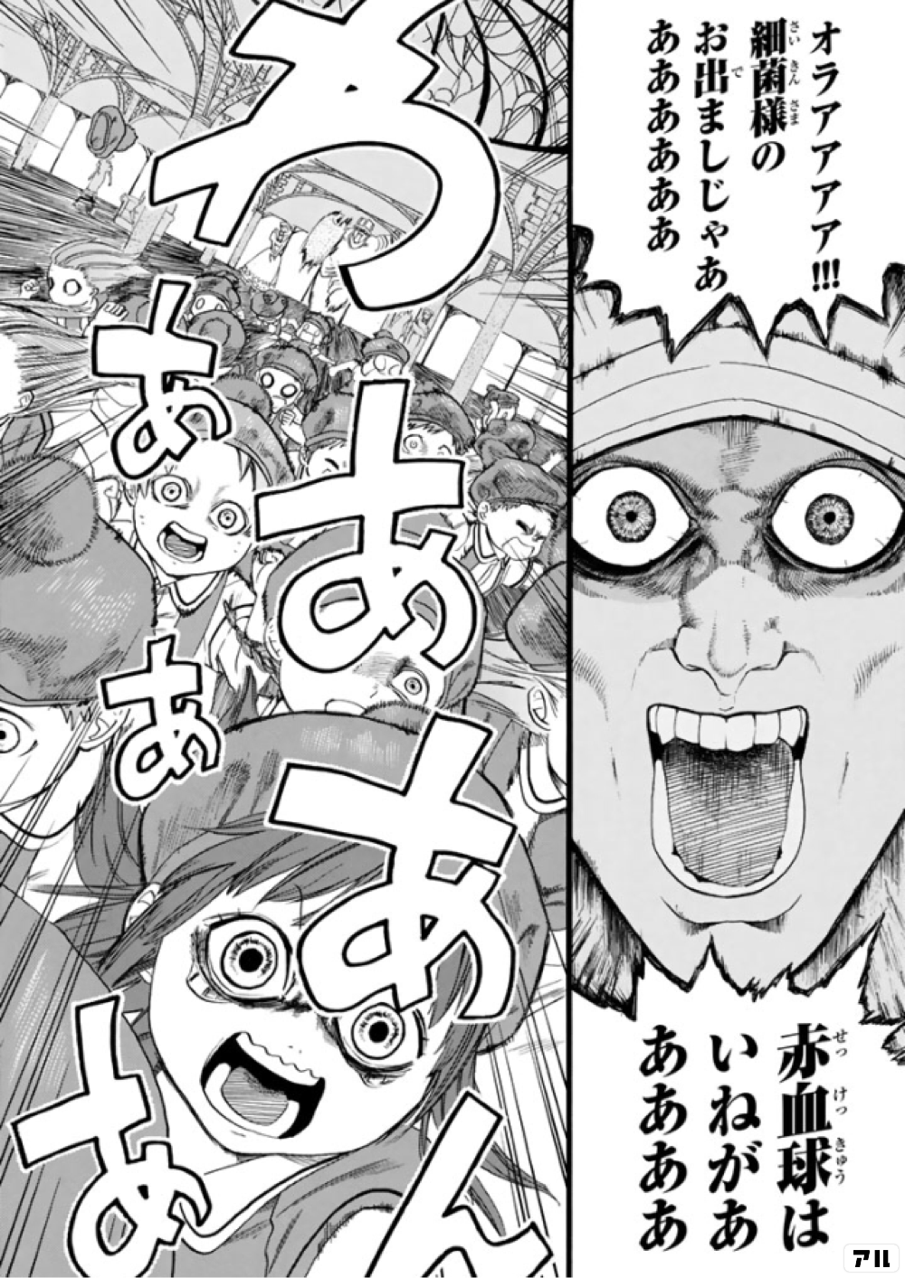 オラアアアア!!!細菌様のお出ましじゃあ ああああああ 赤血球はいねが 