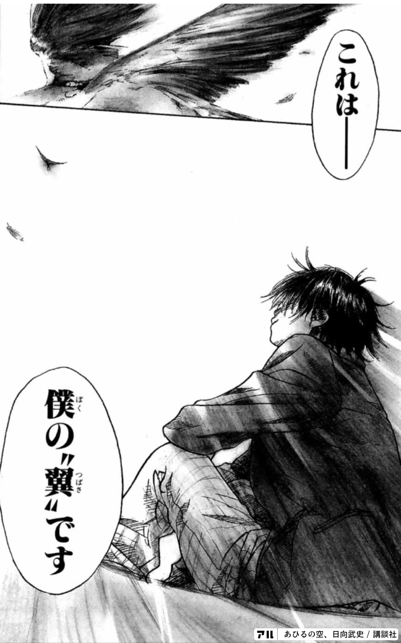 これは、僕の翼です - あひるの空(あひる) | アル