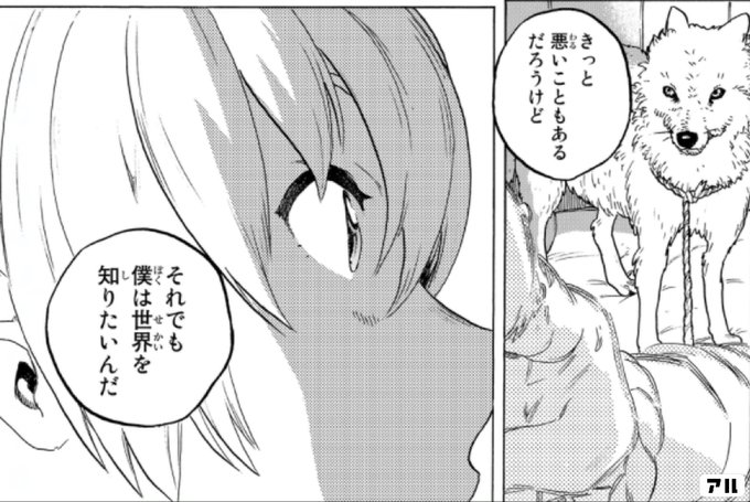 悪いこともあるだろうけどそれでも僕は世界を知りたいんだ 不滅のあなたへ アル