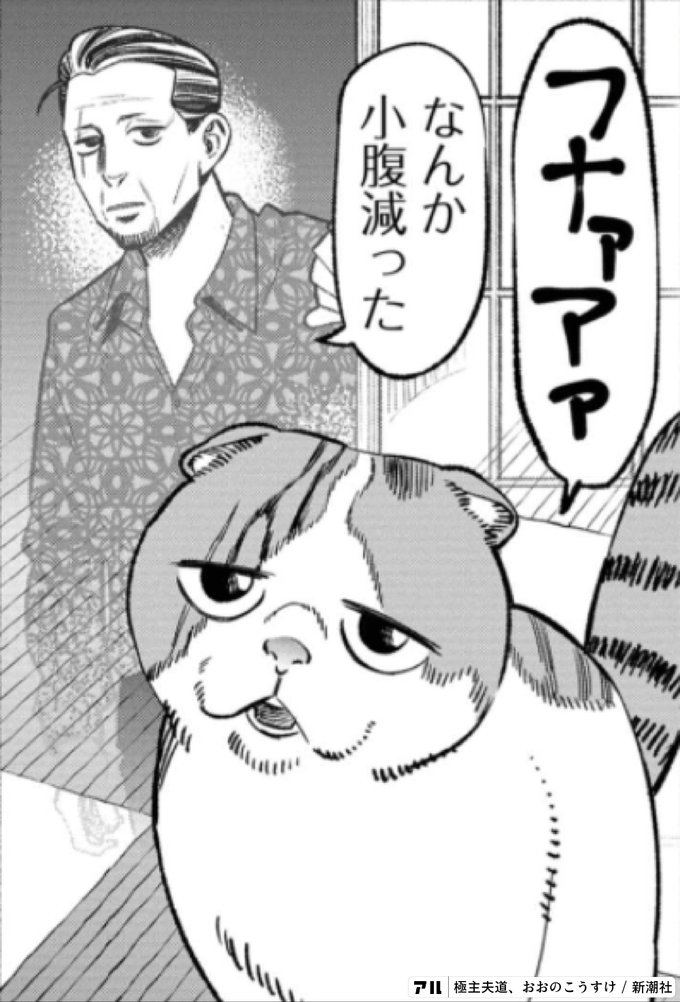 思ってたのと違う 極主夫道 アル