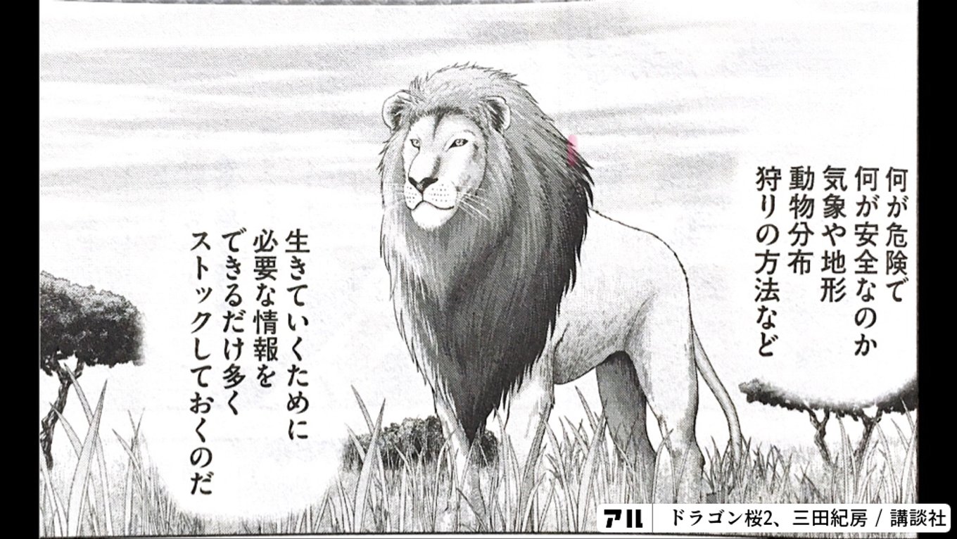 ドラゴン桜2