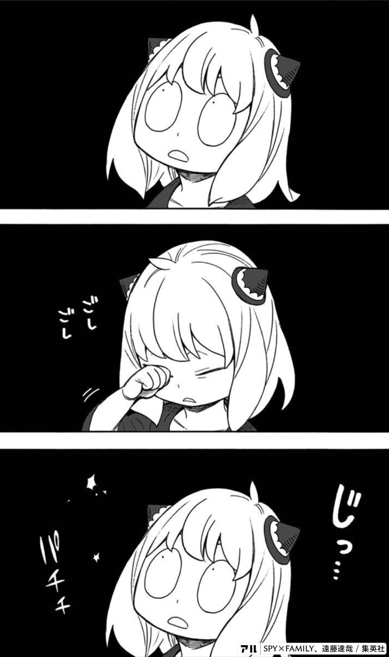 SPY×FAMILY