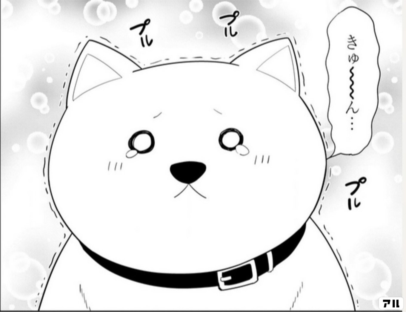 アホガール