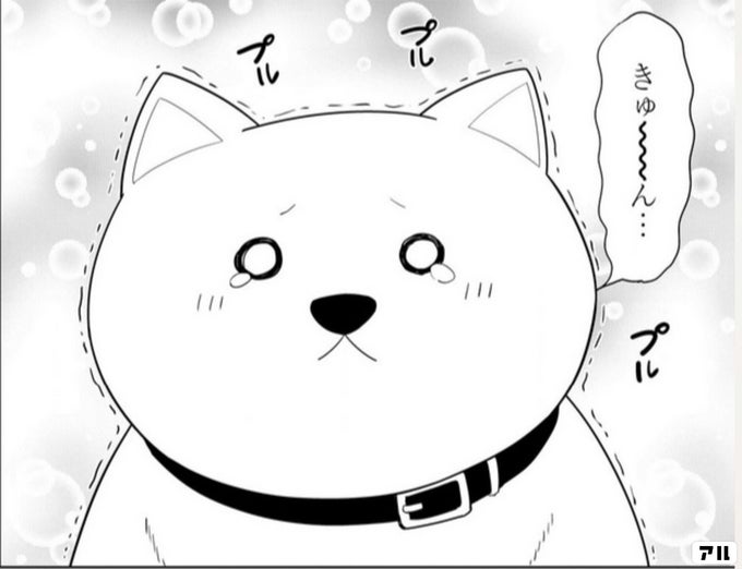 犬 アホガール アル