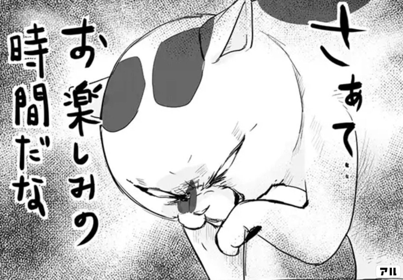 犬と猫どっちも飼ってると毎日たのしい