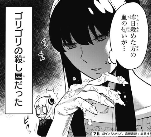 スパイファミリー 殺し屋のはは ヨルさんが強すぎる 弟との関係や可愛らしい性格についても紹介 Ciatr シアター