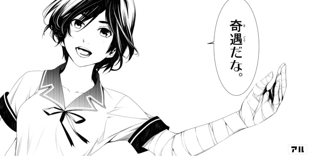 奇遇だな 化物語 アル