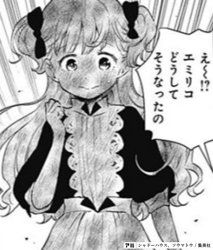 え エミリコどうしてそうなったの シャドーハウス アル