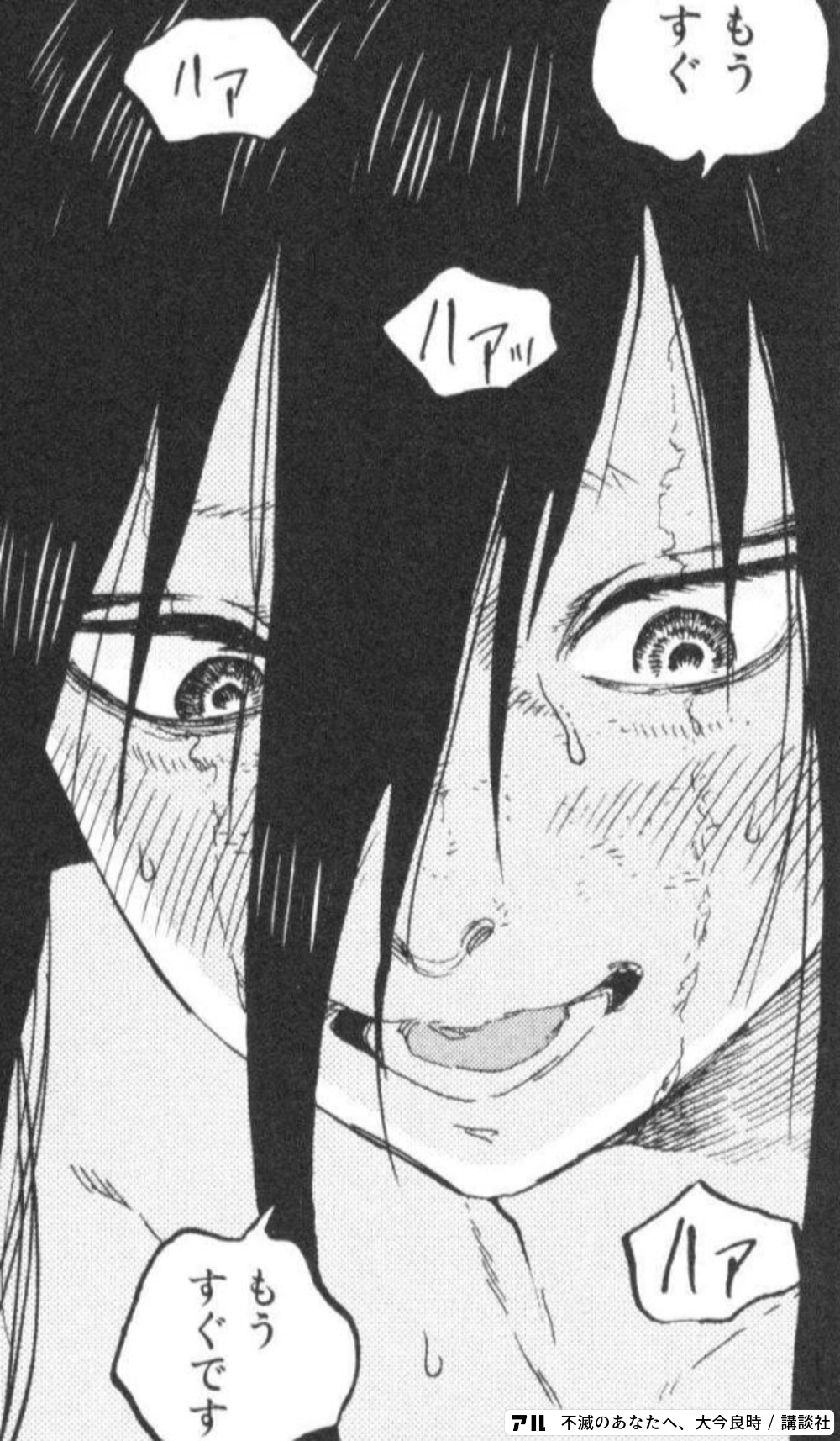 売れ筋ランキングも掲載中 不滅のあなたへ 1 17巻セット Www Hallo Tv