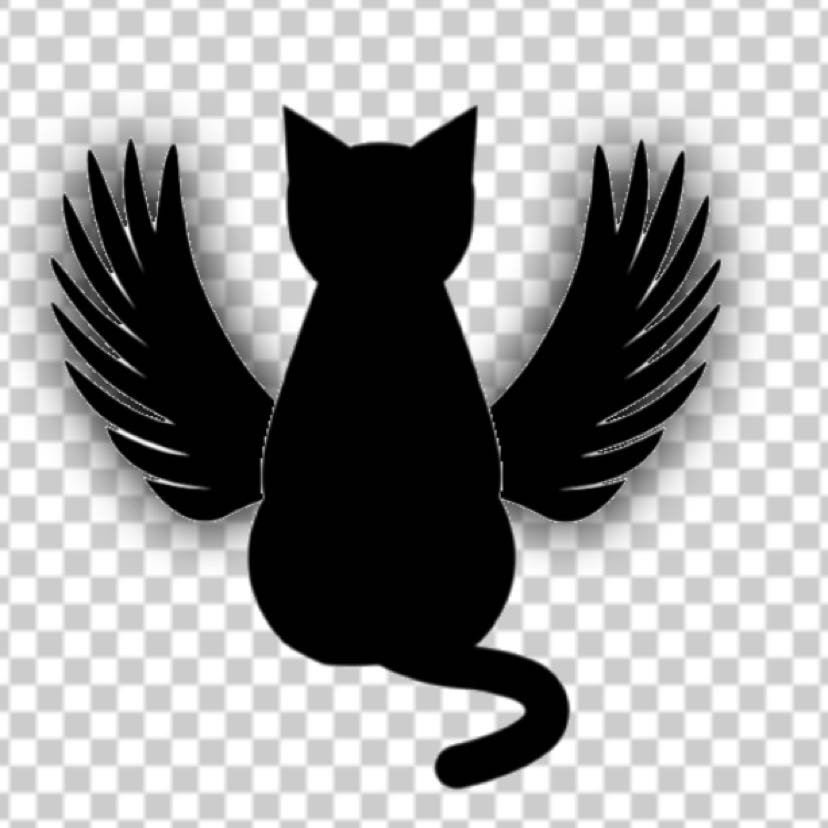 全部オレのもんだ 孤独も 苦痛も 不安も 後悔ももったいなくてタナベなんかにやれるかってんだよ プラネテス アル